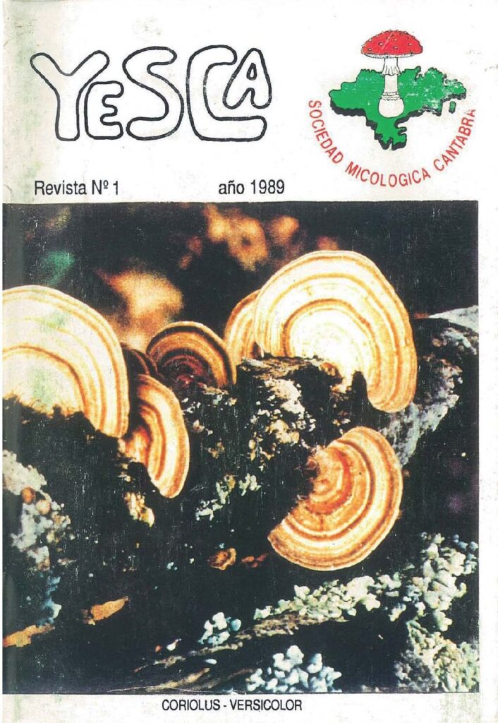 YESCA 01   AÑO 1989