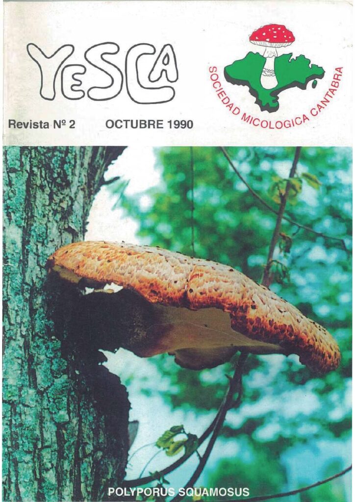 YESCA 02   AÑO 1990