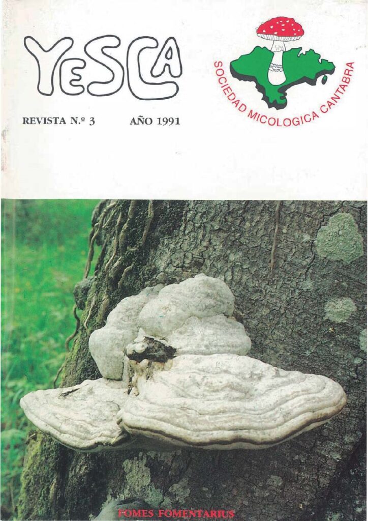 YESCA 03   AÑO 1991