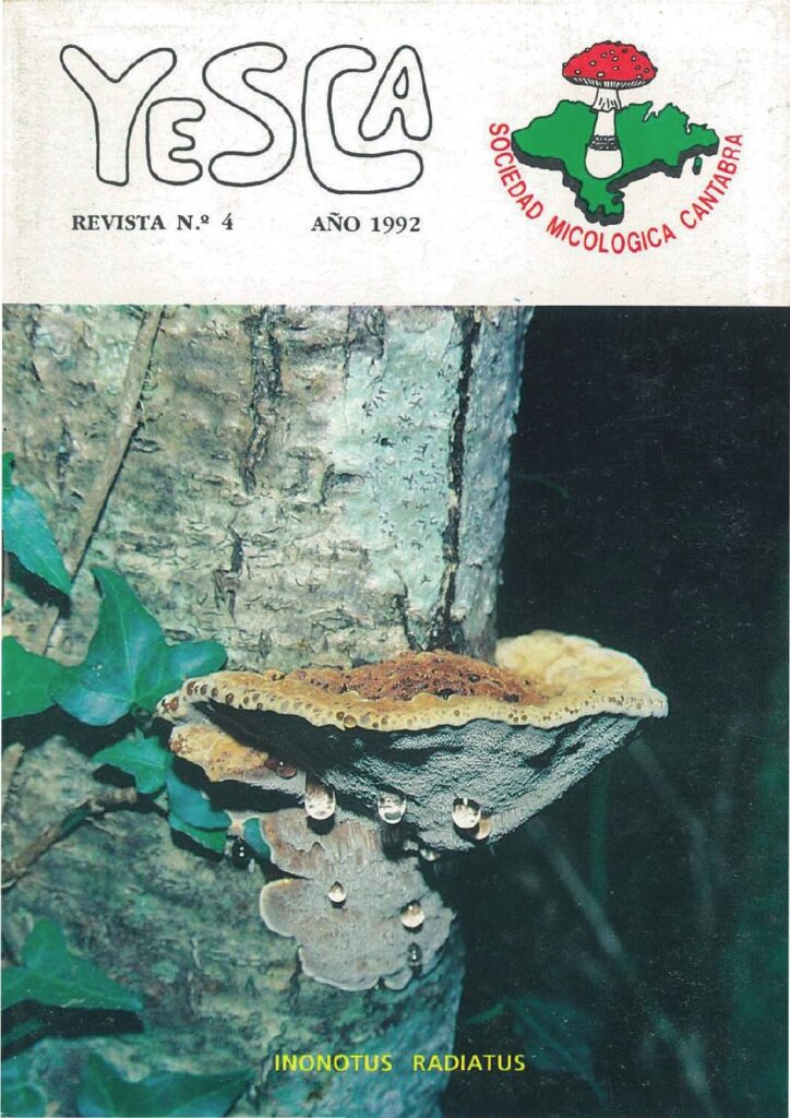 YESCA 04   AÑO 1992