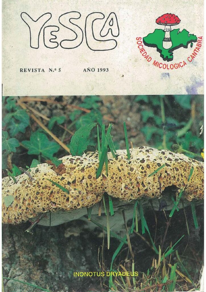 YESCA 05   AÑO 1993