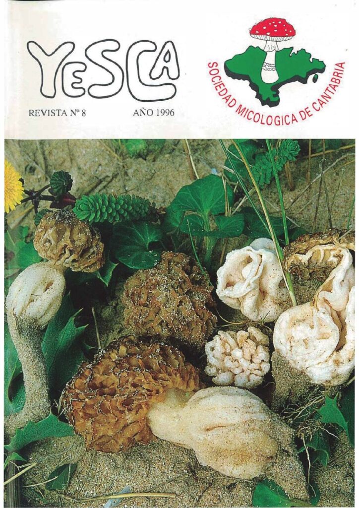 YESCA 08   AÑO 1996