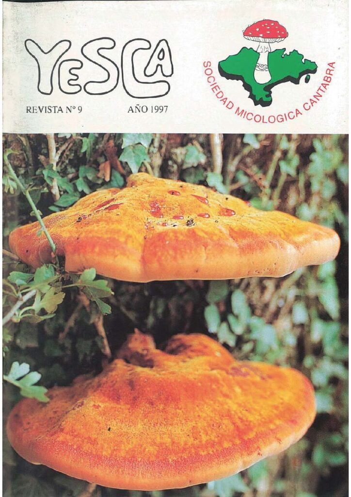 YESCA 09   AÑO 1997