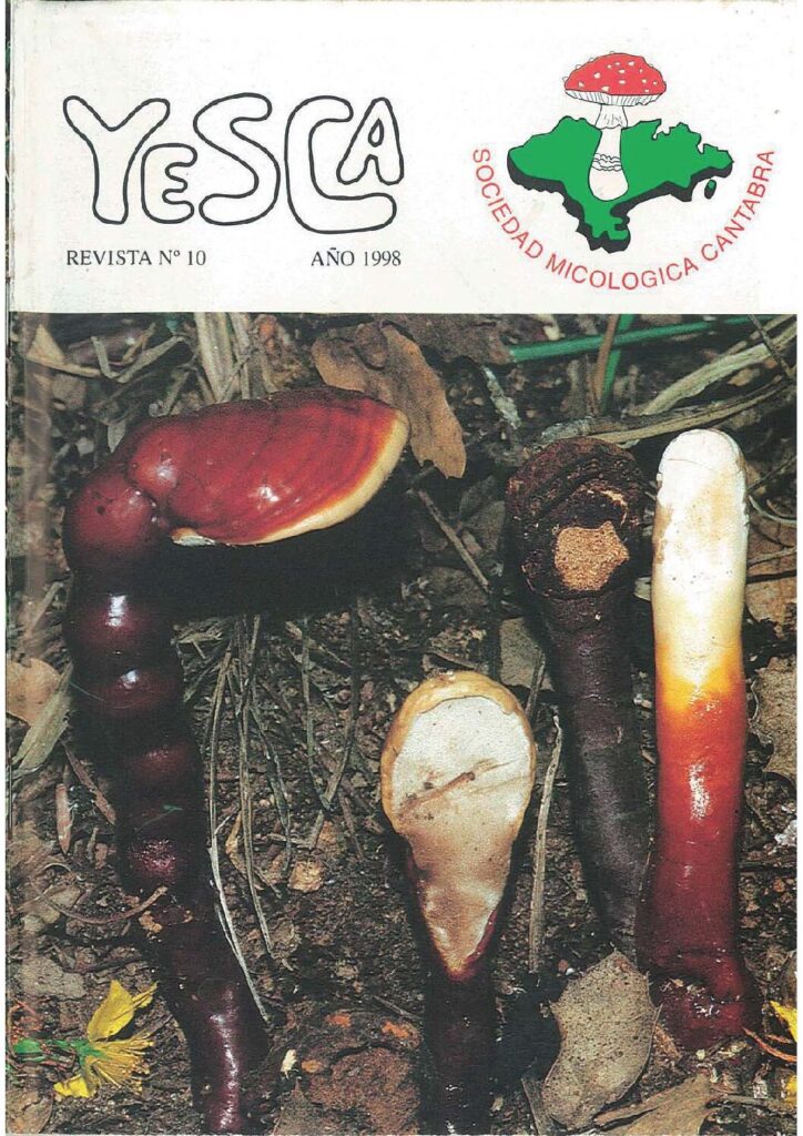 YESCA 10   AÑO 1998
