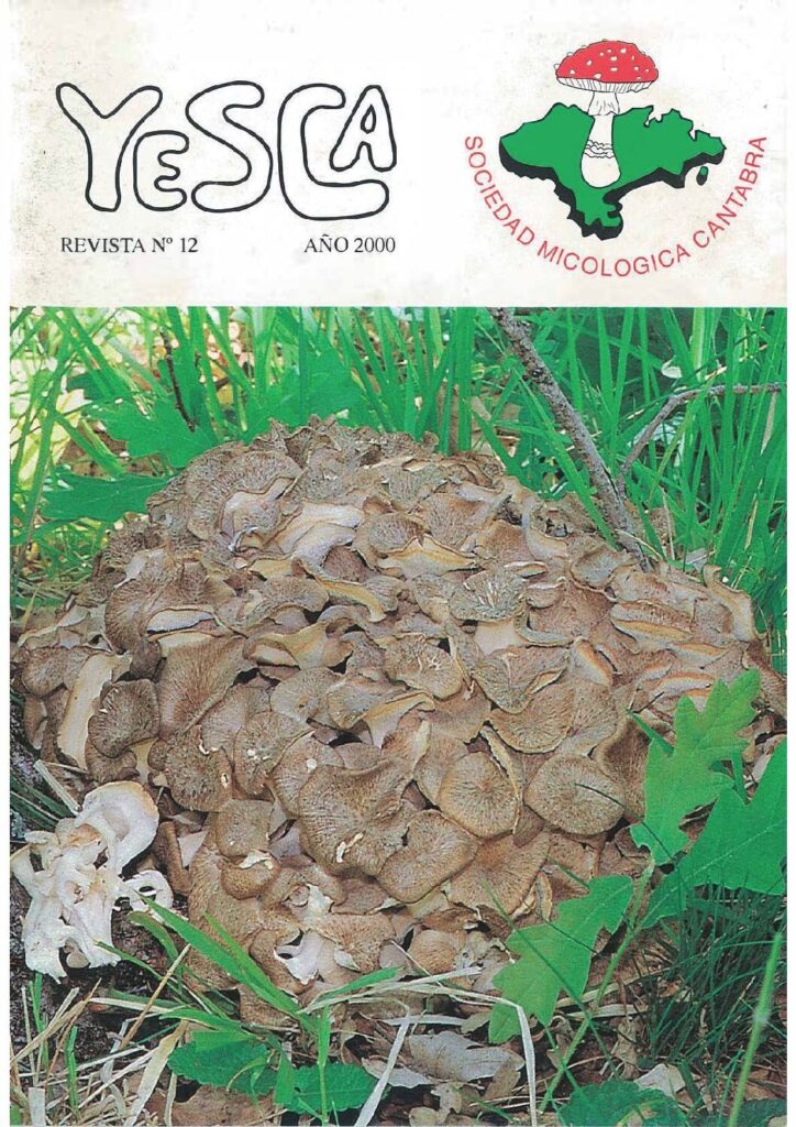 YESCA 12   AÑO 2000