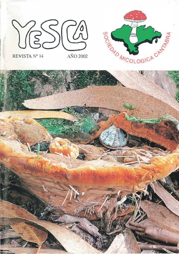 YESCA 14   AÑO 2002