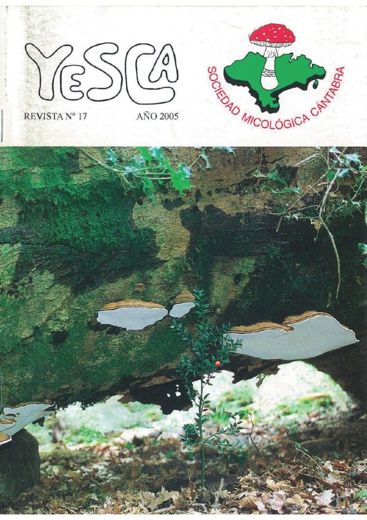 YESCA 17   AÑO 2005