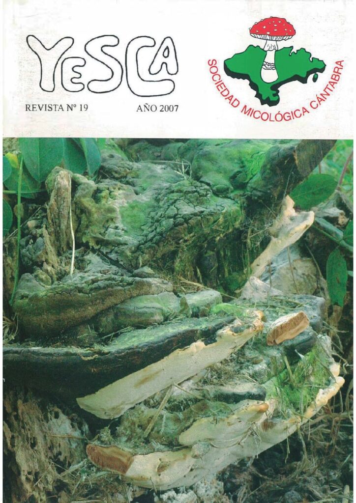 YESCA 19   AÑO 2007