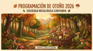 Programación de Otoño 2026